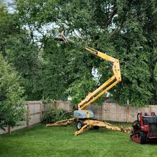 Best Lawn Irrigation Installation and Maintenance  in National City, CA