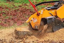 Best Arborist Consultation Services  in National City, CA